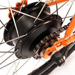 Electric Bike for Adults 350W Brushless Motor 10AH