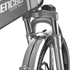 Folding Electric Bike for Adults 500W