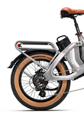 Electric Bicycle 48V 750W e Road Cruiser Electric Cargo Bike