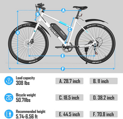 MICLON Electric bikes with fast charger