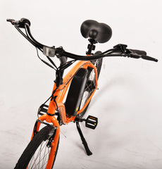 Electric Bike for Adults 350W Brushless Motor 10AH