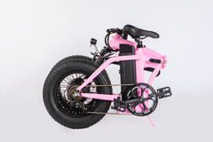 Dual-Drive Fat Tire E-bike Pro