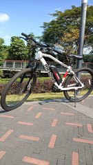 Metakoo Electric bikes with charger