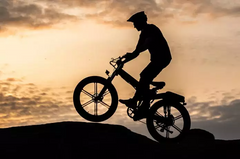 ENGWE electric bicycle Fat tire Mountain 750W