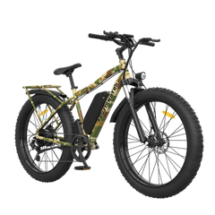 AOTIRMOTOR Electric Bicycle 750W