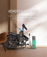 Electric Bike for Adults Ebikes 750w