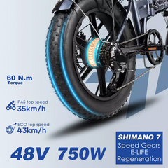 ENGWE electric bicycle Fat tire Mountain 750W