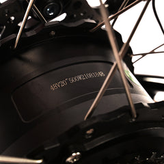 Electric Bike for Adults Fat Tire 500W Motor