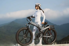 ENGWE electric bicycle Fat tire Mountain 750W