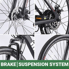 Electric Bike for Adults