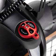 Electric Bicycle 48V 750W e Road Cruiser Electric Cargo Bike