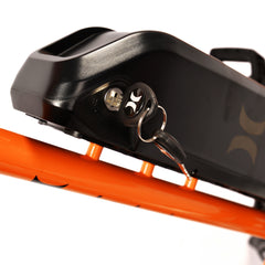 Electric Bike for Adults 350W Brushless Motor 10AH