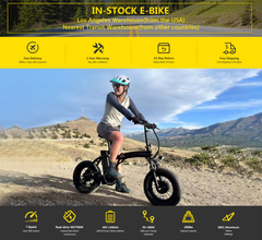 Dual-Drive Fat Tire E-bike Pro