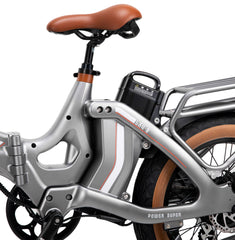 Electric Bicycle 48V 750W e Road Cruiser Electric Cargo Bike