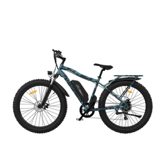 AOTIRMOTOR Electric Bicycle 750W