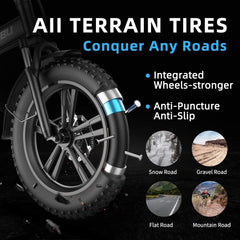 Electric Bike for Adults Ebikes 750w