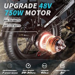 Adult Electric Bike 750W  with Samsung 48V 12.8Ah Lithium Battery