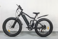 Bezior Electric Bicycle With Disc Brake
