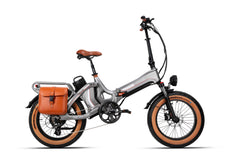 Electric Bicycle 48V 750W e Road Cruiser Electric Cargo Bike