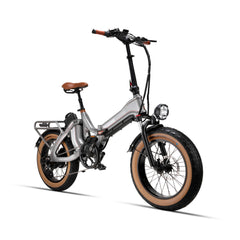 Electric Bicycle 48V 750W e Road Cruiser Electric Cargo Bike