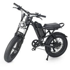 Electric Bike for Adults