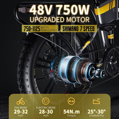 Auloor Foldable Electric Bike for Adults