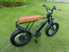 Mini Swell Electric Bike