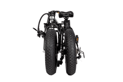 Dual-Drive Fat Tire E-bike sport